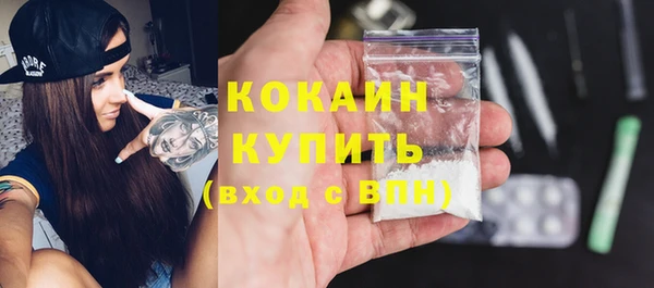 твердый Богородск