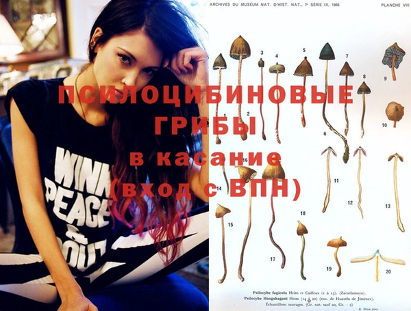 меф VHQ Богданович