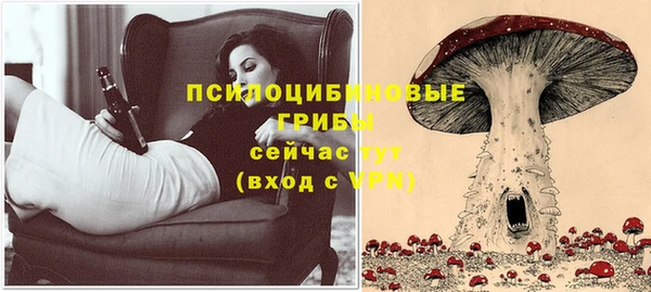 герыч Богородицк