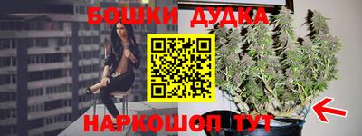 молекула духа Волжский