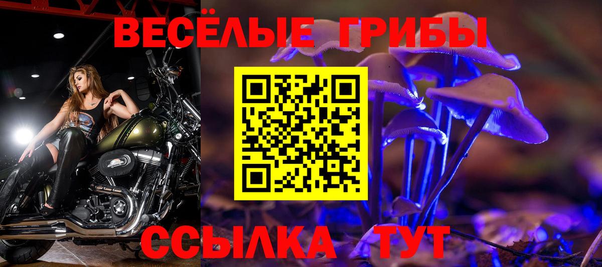 Псилоцибиновые грибы Cubensis  Вход с VPN  Наро-Фоминск 